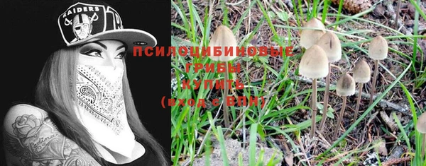 кокаин перу Богданович