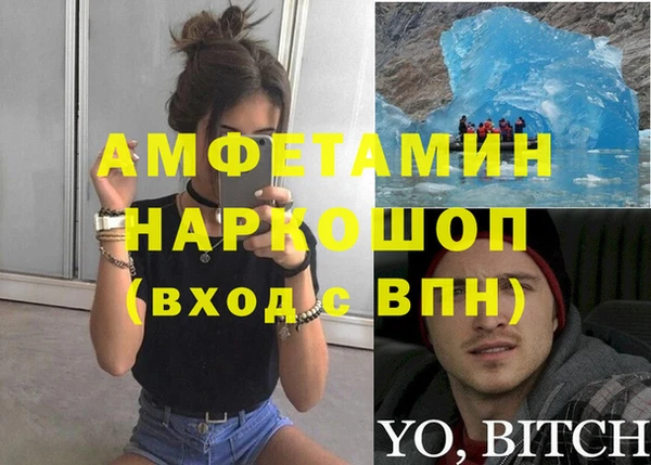 spice Богородицк