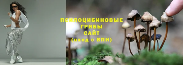 бутират Богородск