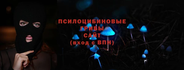 spice Богородицк