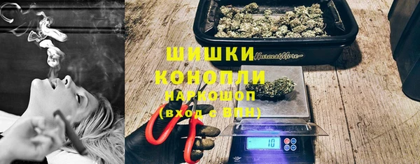 spice Богородицк
