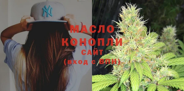spice Богородицк