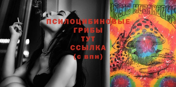 кокаин перу Богданович