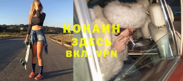 spice Богородицк