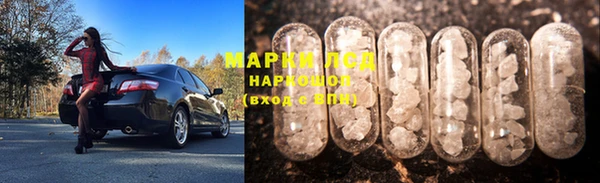 spice Богородицк