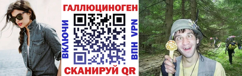 Галлюциногенные грибы ЛСД Зима